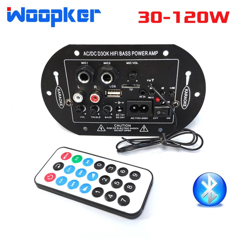 Woopker-  D3  ƽ 120W  FM , 11V/ 220V/ 12V/ 24V   